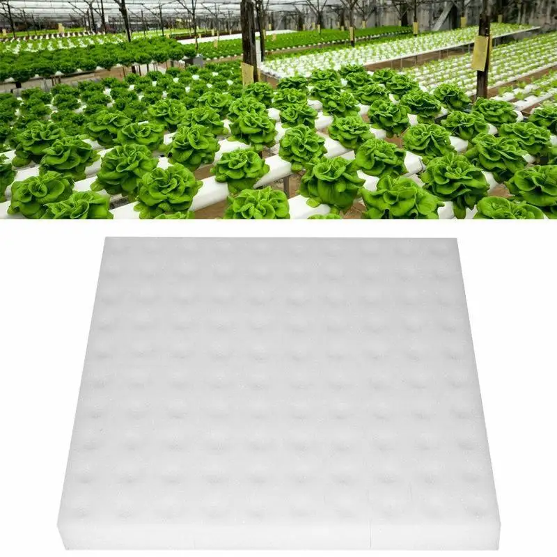 100 шт трансплантированная губка Soilless гидропонная, для растений губки для растений садовые инструменты саженцы для посадки