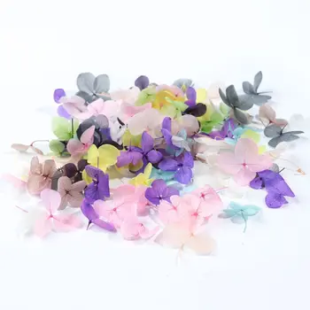 

DIY DIY Nail Art Filler Popular Dry Eternal Flowers Beauty Nails Large Applique Decorative Jewelry Crafts Making Epoxy Filling