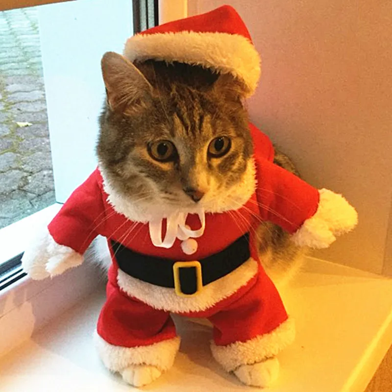 Christmas Cat Costumes Funny Santa Claus Clothes For Small Cats Dogs Xmas New Year Pet Clothing Winter Kitty Kitten | Тематическая