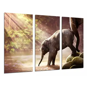 

Lake sunset Nature Animal Breeding Elephant and Mother, photo print on wood, modern picture decorative 26925