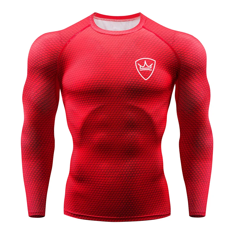 

2019 Autumn New Men's compression shirts Quick Dry Long sleeves Running Tshirts men compression tight shirts workout sportswear