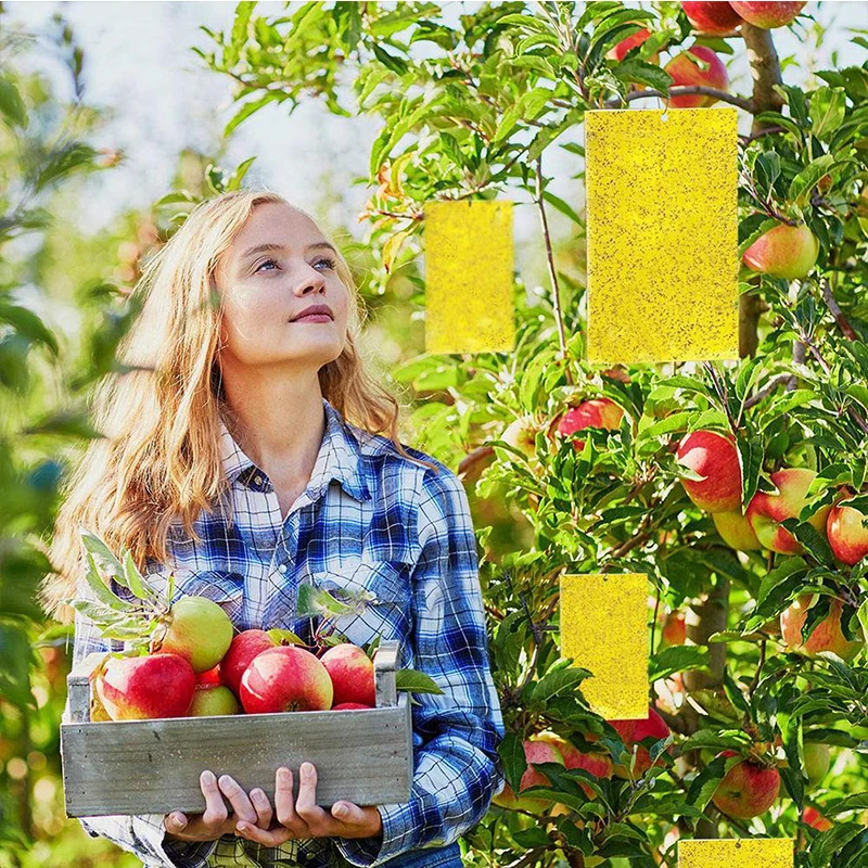 Наклейка наклейка для борьбы с насекомыми|Ловушки| |