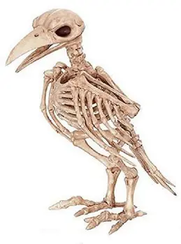 

Skeleton RavCrazy Bonez Skeleton Crow Raven Tweety Bird Halloween Prop Decoration Bones free shipping