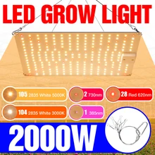 LED Full Spectrum Plant Light 220V LED Grow Lamp Indoor Phyto Lamps 1500W 2000W Greenhouse Hydroponic Lighting US UK EU AU Plug
