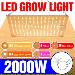 LED Full Spectrum Plant Light 220V LED Grow Lamp Indoor Phyto Lamps 1500W 2000W Greenhouse Hydroponic Lighting US UK EU AU Plug