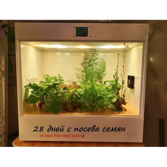 Growbox ECOBOX(80W домашняя система гидропонике для выращивания зелени, ягод