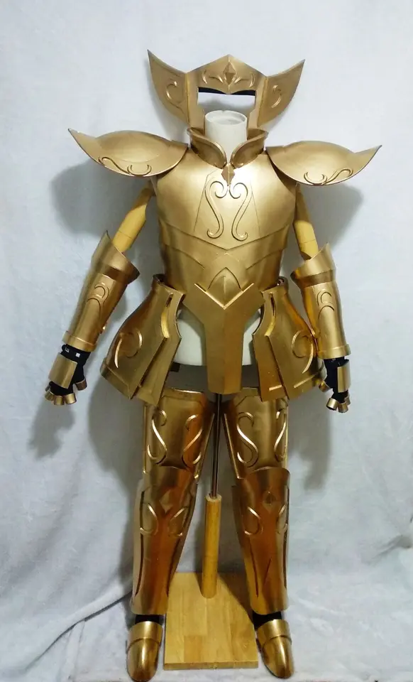 Customize Saint Seiya The Lost Canvas Aquarius Degel Cosplay Customize Saint Seiya The Lost Canvas Aquarius Degel Cosplay