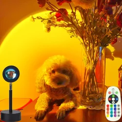 Sunset Projection Lamp Night Light for Home Cafe Bar Bedroom Wall Decoration Colorful Lamp Light Projector Free To Change Color
