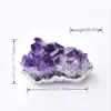 1pc Natural Amethyst Crystal Reiki teeth Healing  Rock Mineral Specimen Raw Crystals Energy Stone Home Decoration Souvenir ► Photo 3/6