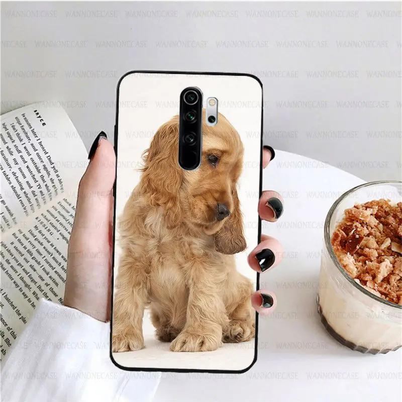 harper cocker spaniel hellip dog puppies