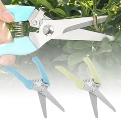 Ciseaux de jardin professionnels à tête en acier, sécateurs de taille de plantes, poignée antidérapante, outils portables pour la maison 