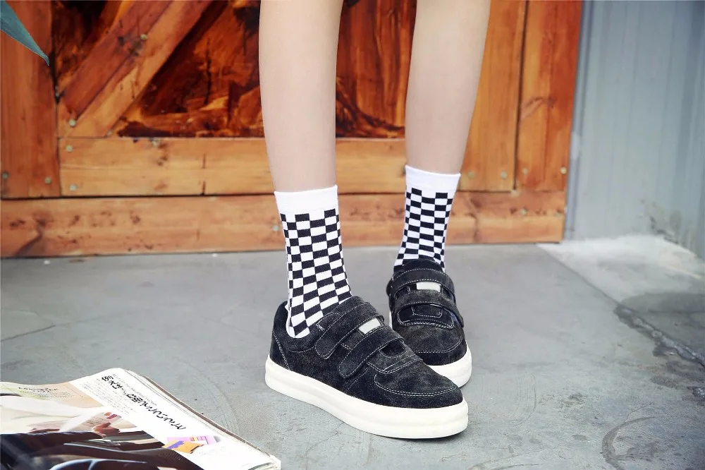 7237828209_866082455