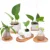 14 Tyles Bamboo Tray Bonsai Holder Home Balcony Bamboo Wood Flower Pot Holder Цветочные Горшки Лоток Садовый Аксессуар