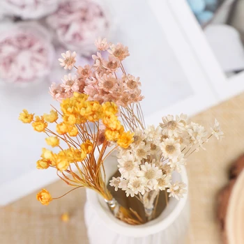 

30/pcs Mini Daisy Small Star Flowers Bouquet Natural Plants preserve Floral Decorative Dried Flowers for Wedding Home Decoration