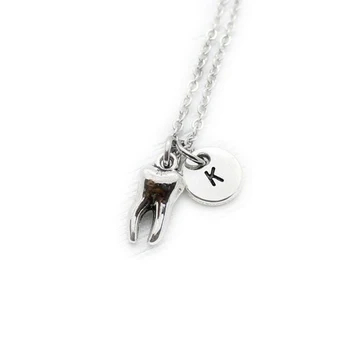 

Personalized Dental Necklace Gift for Dentist DA Charm Accessories DH Accessory Graduation Gift Tooth Charm Jewelry