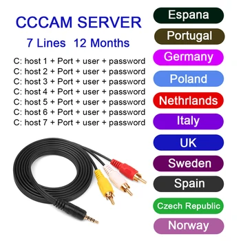 

7 Lines 1 Year CCCAM lines for Digital TV Satellite Receiver DVB-S2 Receptor Set Top Box One Year Cccam Cline Spain free test