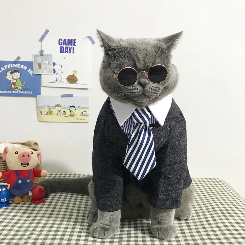 [Магазин MPK] зажим для кошек и собак ошейник кошек|collar for cats|tie catcat collar |
