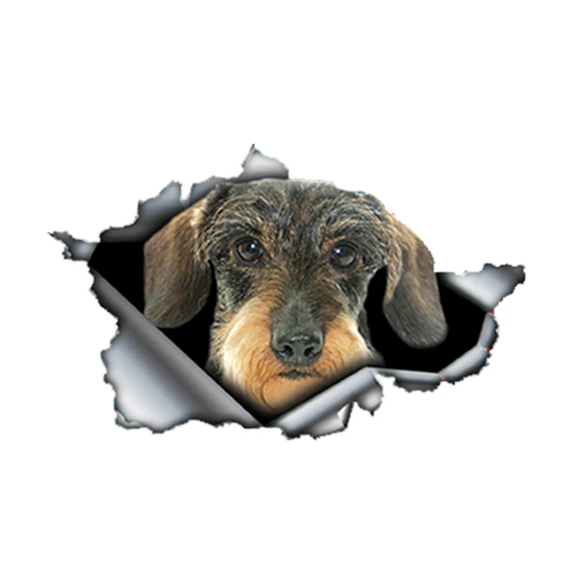 

13cm X 8cm Wire Haired Dachshund Animal Car Sticker Torn Metal Decal Reflective Stickers Waterproof Car Styling Car Accessories
