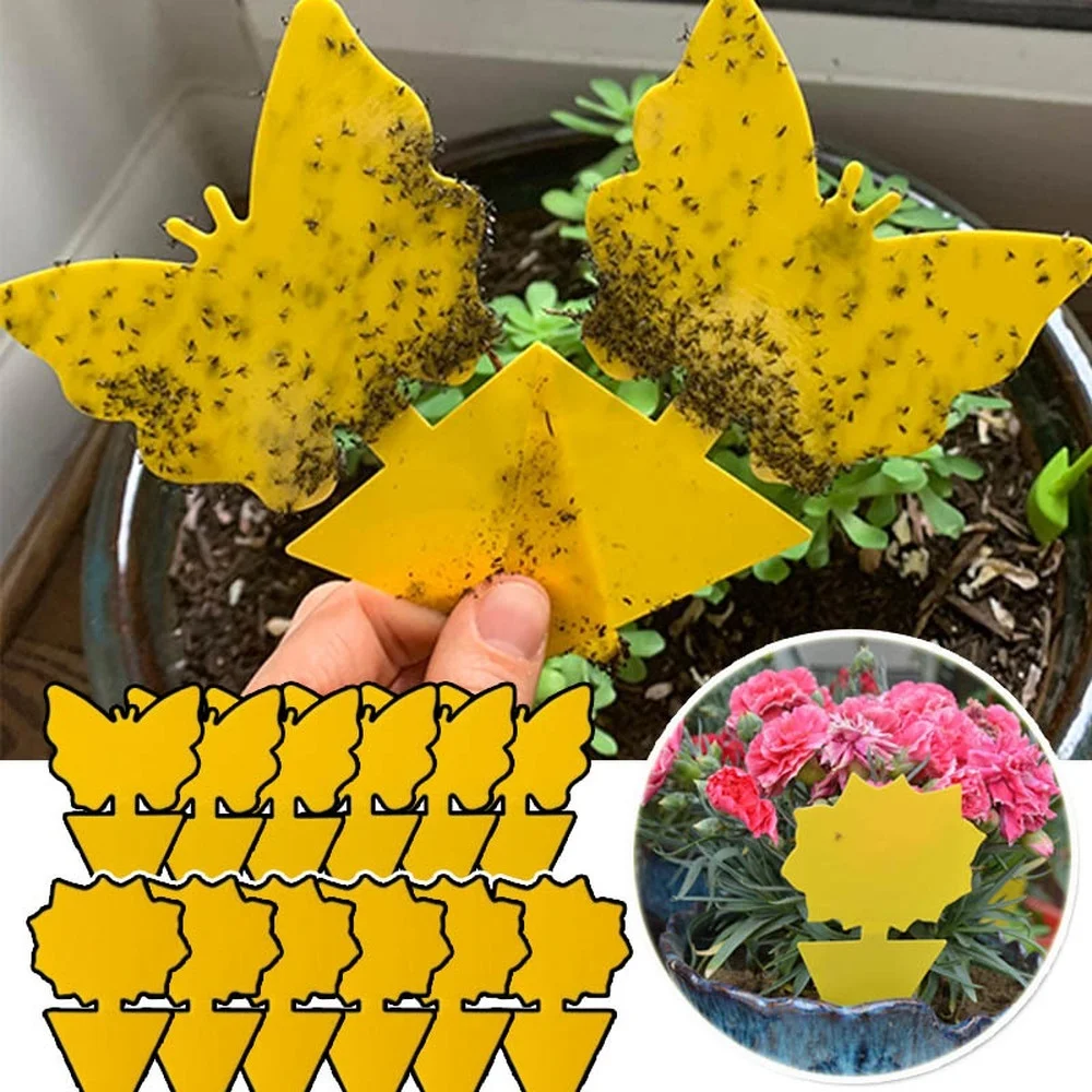 Trampa para insectos de doble cara con pegamento fuerte, trampa pegajosa no tóxica, para Control de plagas, para moscas y frutas de jardín