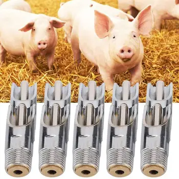 

Stainless Steel Automatic Pig Nipple Water Drinker Waterer Equipment 5PCS Drinking Water System Livestock Supplies