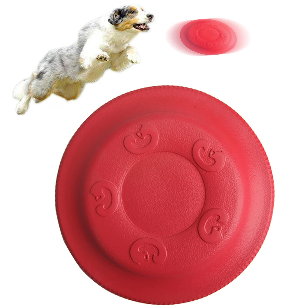 fly and fetch dog toy