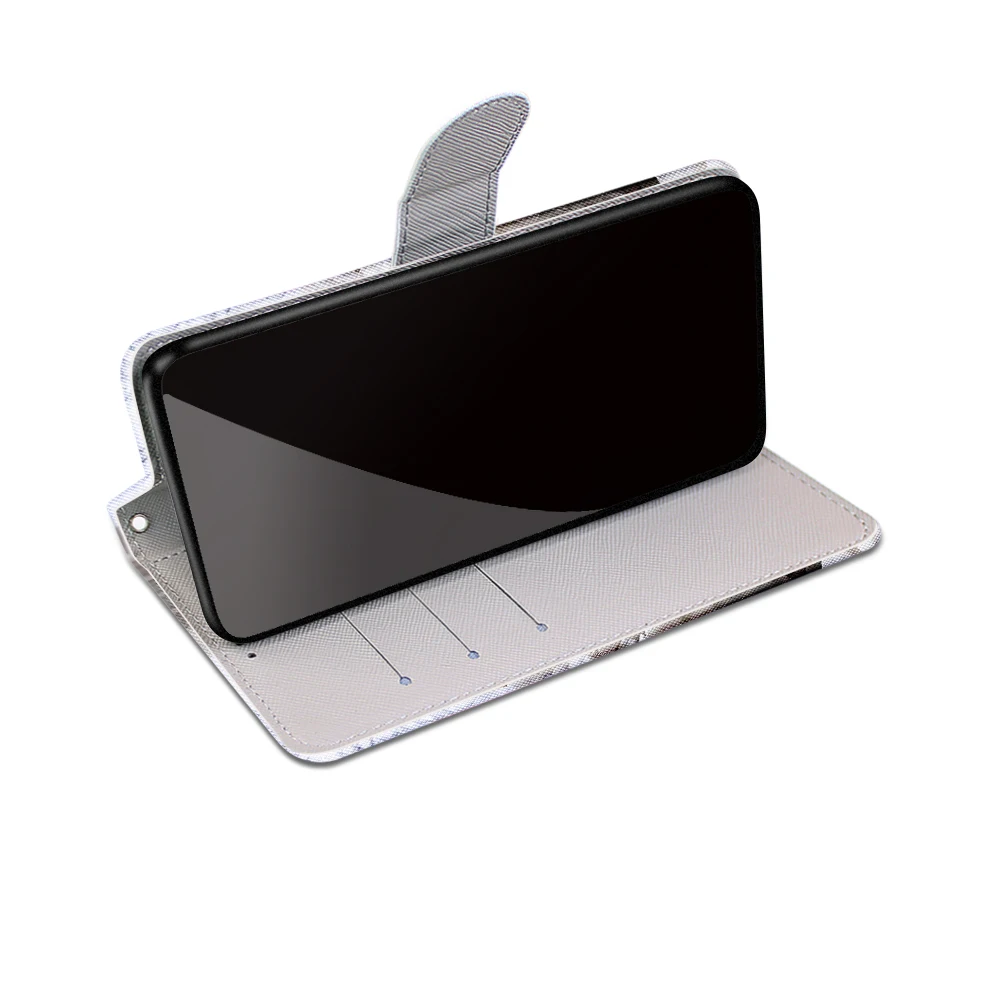 B20斜帽蓝镜猫 -9.JPG