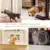 Pet Dog Door 4 Ways Round Transparent Household Cat Gate Lockable Security Pet Entrance Glass Window Puppy Hole Door for Cat Dog