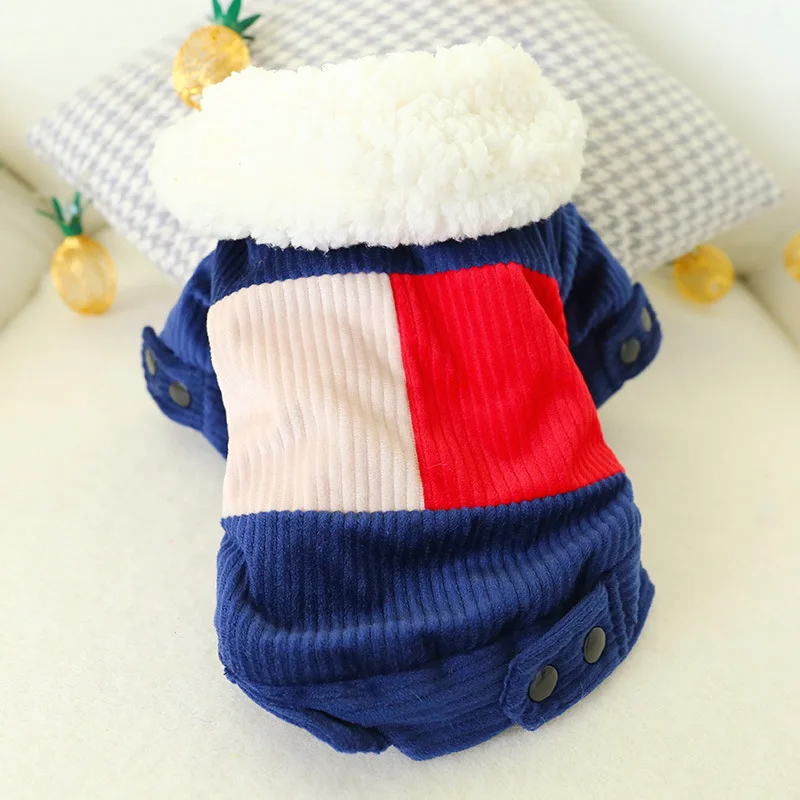 11737427385_1950391245