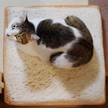 

1piece Simulation Toast Shape Cat And Dog Pad Simulation Bread Sponge Filling Cat And Dog Universal Soft Sponge Pad Pet Supplies