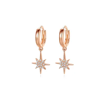 

Star Earrings Sterling Silver Ins Simple Female Temperament Earrings Ear Buckle Micro Inlaid Exquisite Light Luxury Earrings