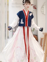 Robe Hanfu de Style chinois pour femmes, tenue de princesse traditionnelle ancienne de la dynastie Ming, ensembles de broderie florale 
