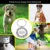 Выгравированные теги Pet ID Персонализированные теги Pet ID Имя Номер Адрес для Собаки Кошки Щенка Ошейник Бирка Кулон Аксессуары для домашних животных