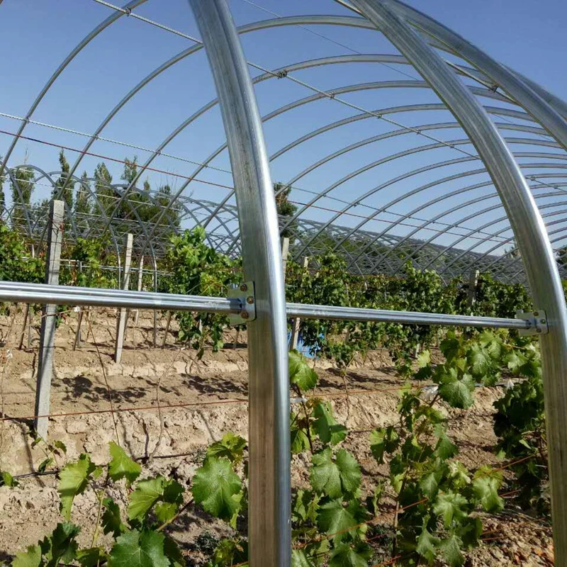 Super large planting plastic greenhouse supplier