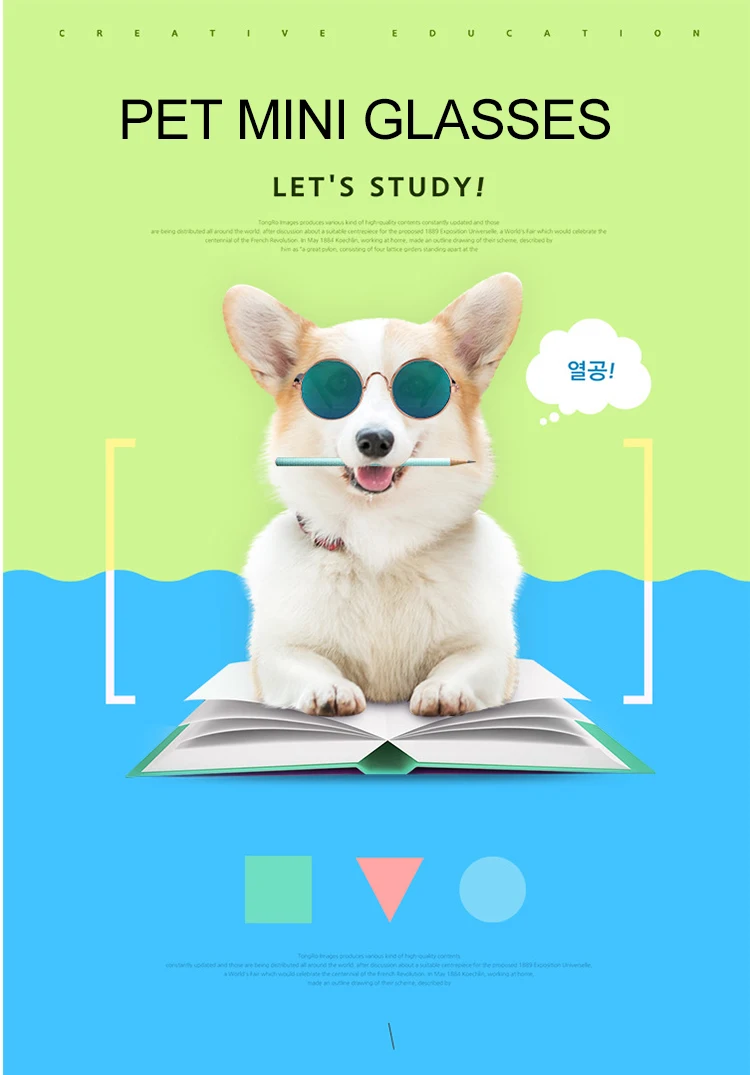 宠物眼镜_厂家直销宠物眼镜-猫咪太阳镜个性搞怪-猫批发---阿里巴巴_01