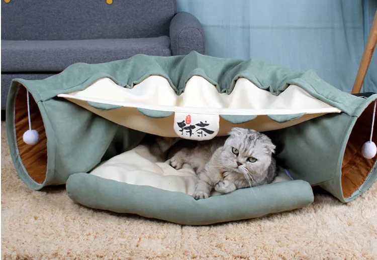 11301799880_95440262