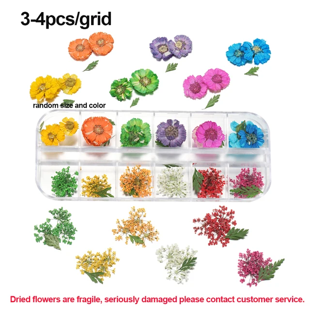 1Box Dried Flowers Dry Plants for Rsein Molds Fillings Epoxy Resin Pendant Tweezers Jewelry Making Craft DIY Nail Art Decoration Style25