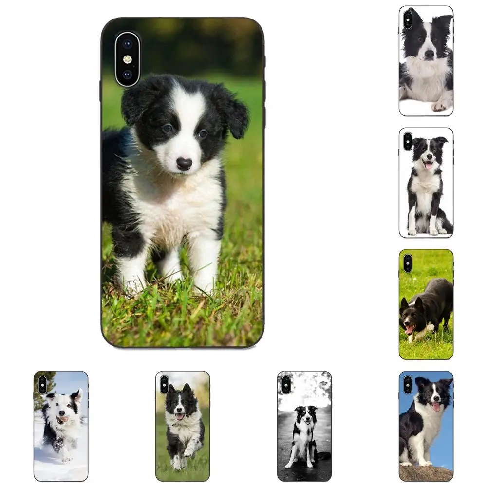 TPU Screen Protector For Galaxy A10S A20S A2 Core A30S A40S A50S A70S A90 5G M10 M30S M40 Note 10 Plus Border Collie Dog | Мобильные
