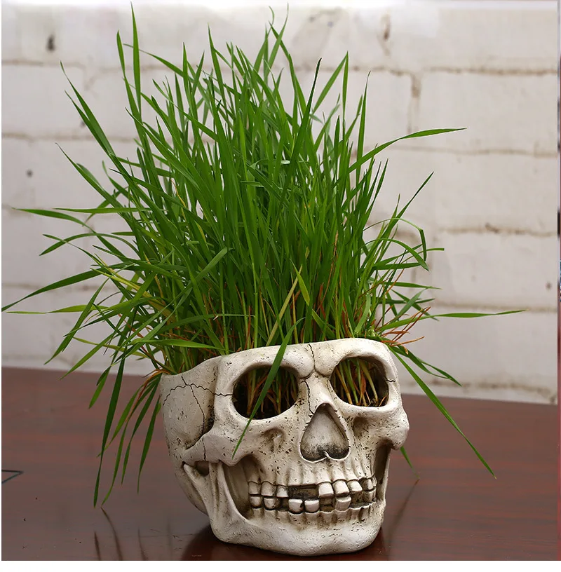 Ancient Skull Pot Bonsai Creative Decoration Succulent Plants Flower Holiday Party Atmosphere Decorate Micro Landscape | Дом и сад