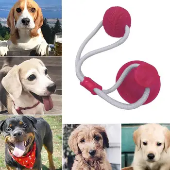 

Multifunction Pet Molar Bite Toy Interactive Fun Pet Toys with Suction Cups Dog