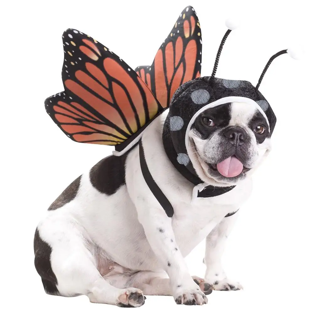 

Pet Costume Set Novelty Cute Butterfly Decor Dog Party Clothes Cat Dog Party Dress Up Pet Wings With Hat Pet Supplies