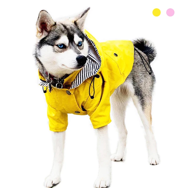 Raincoat Dog 1