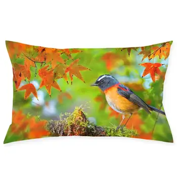 

Collared Bush Robin Fashionable pillowcase and rectangular decorative pillowcase 20 "x30"