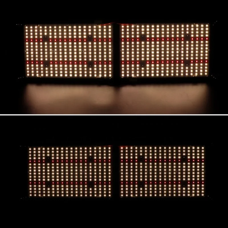 -quantum-board-V4-LM301H-with-UV (1)