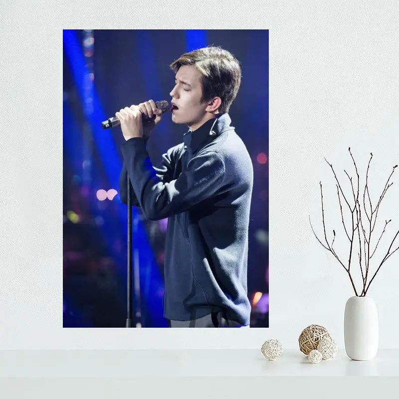 На заказ Dimash плакаты и принты настенные картины для спальни современный художественный плакат домашний Настенный декор шелковая ткань без рамы - Цвет: 10