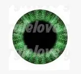 eye color3 DM156) Милая девочка Смола половина головы кигуруми маска с BJD глаза в стиле японского аниме маска Лолиты кроссдресс кукла - Цвет: eye color3