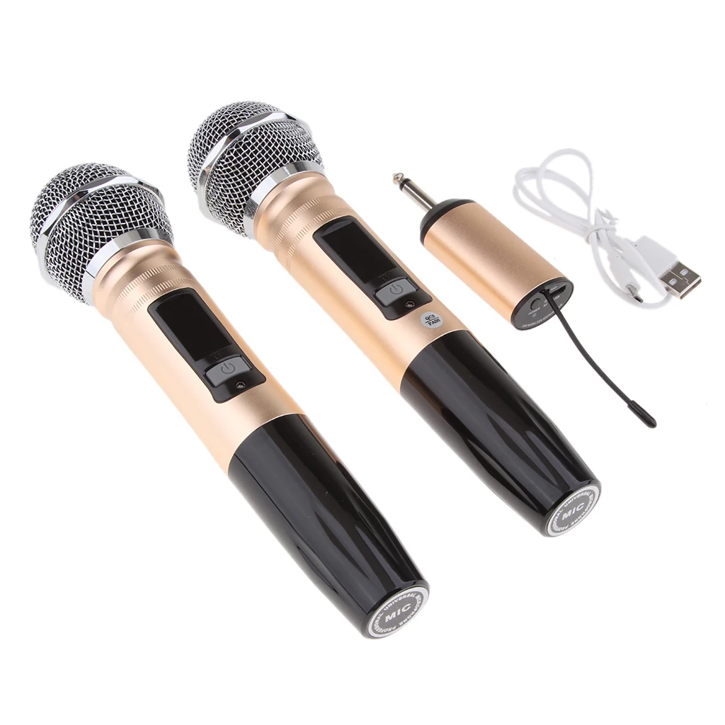 2 Channel Dual Handheld Cordless Microphone Mic System Set for Home Party KTV Wedding