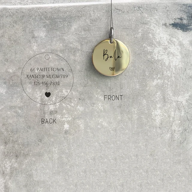 Personalized Pet ID Tag 6