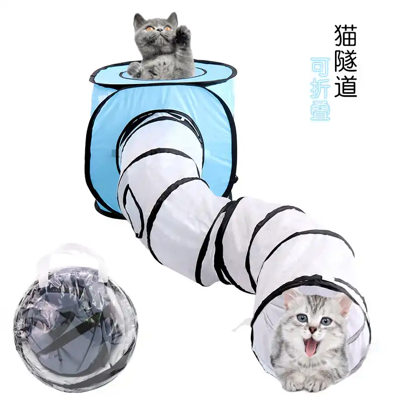 kitten tunnel