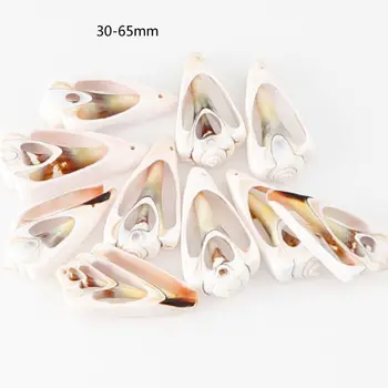 

60Pcs Natural Cowrie Shell Spiral Shells Slices Smooth Cut Beachh Seashells Bead