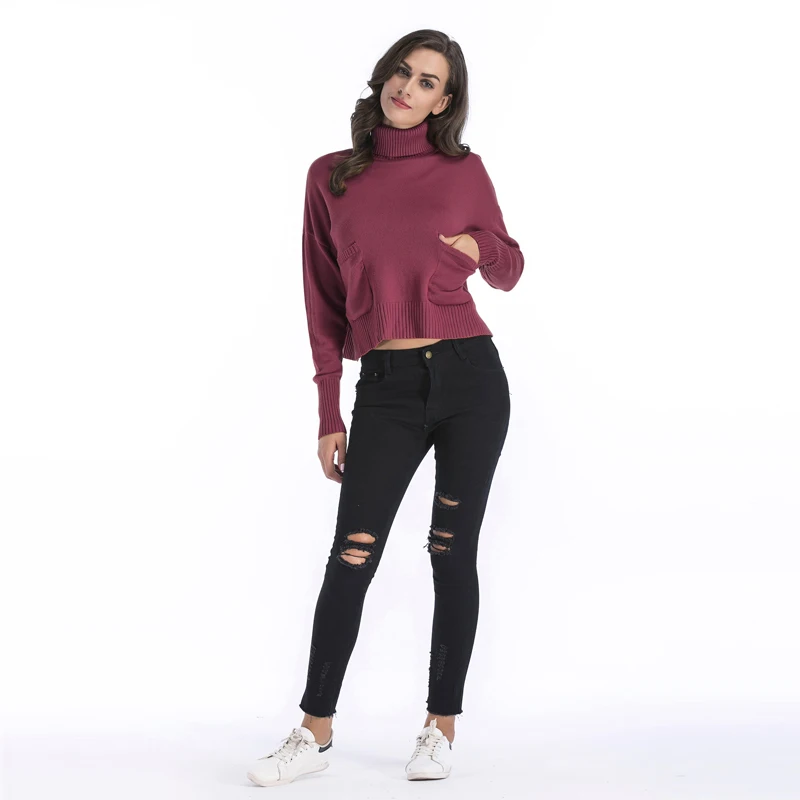 

Europe and The United States New High Collar Sweater Women Autumn and Winter Warm Pocket Bottoming Shirt Women Thick Sweater